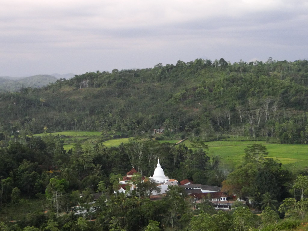 6653707383_878a1759aa_b