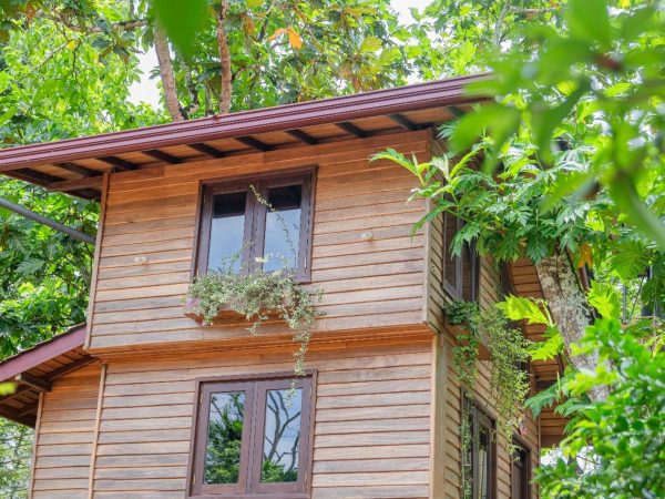 fc8c9e87-8234-4aff-9728-112a27458a16